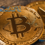Navigating the Crypto Jungle: 3 Key Things Every Investor Should Know